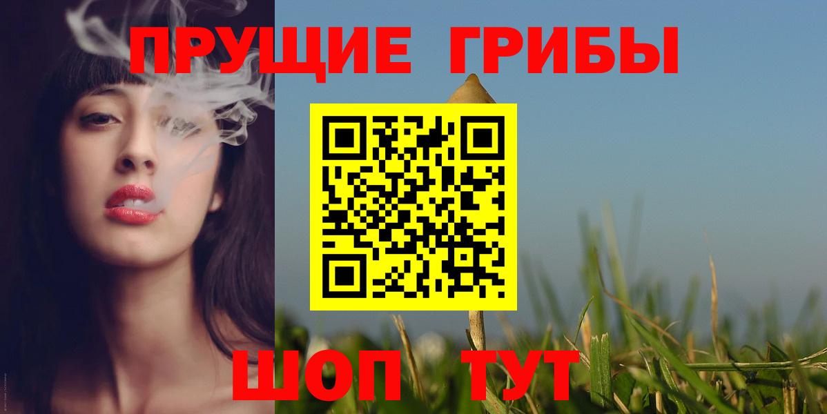 Чехов  Галлюциногенные грибы Psilocybe  Вход с VPN 
