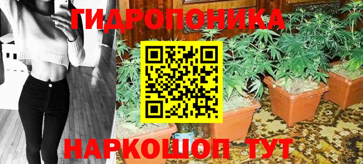 Конопля Amnesia  Вход с VPN  Бошки Шишки LSD WEED  Шишки марихуана Ganja  Чехов 